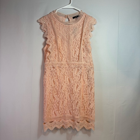 NWT Lulu's Pink Sheath Mini Dress With Lace Overlay Size XL - Picture 1 of 8